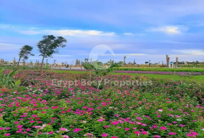 121148806 - Property Image 3