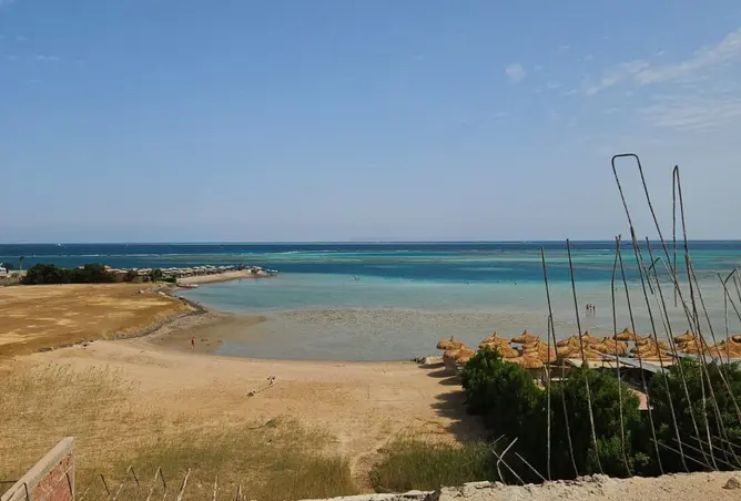116485759 - صورة العقار 3