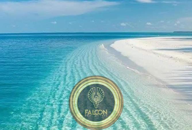 68519737 - Property Image 3