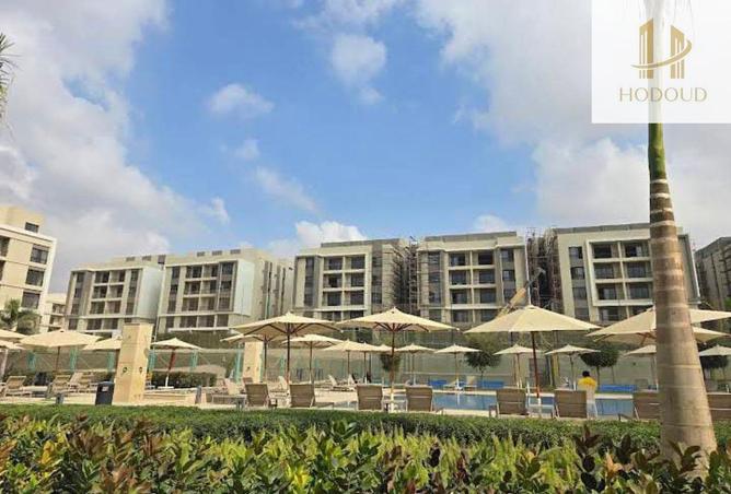 56502275 - Property Main Image