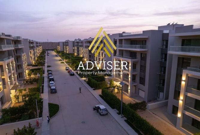 61691652 - Property Image 3