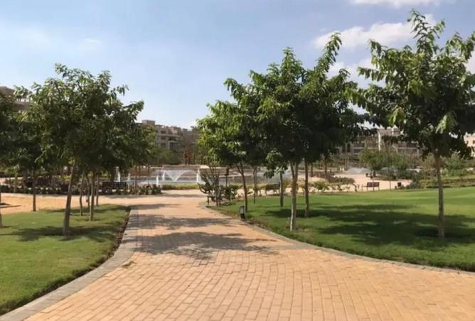 8605006 - صورة العقار 2