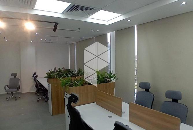 104885000 - صورة العقار 3