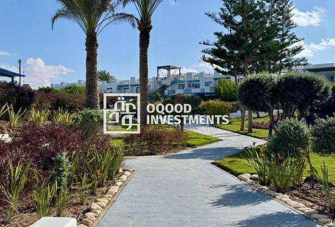 8455495 - Property Image 3