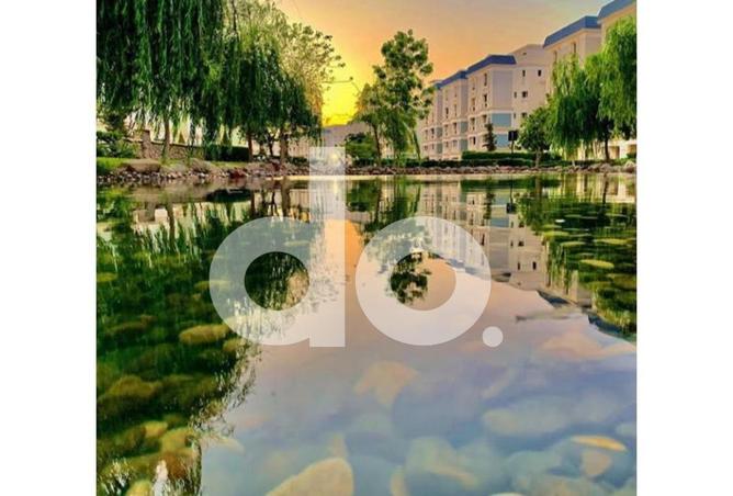 58247432 - صورة العقار 2