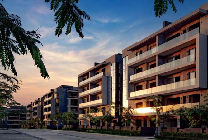 55506163 - Property Image 3