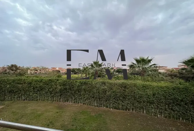 115447667 - صورة العقار 3