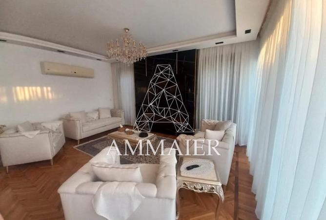 8451868 - Property Image 2