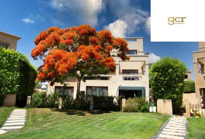 63395446 - Property Image 3