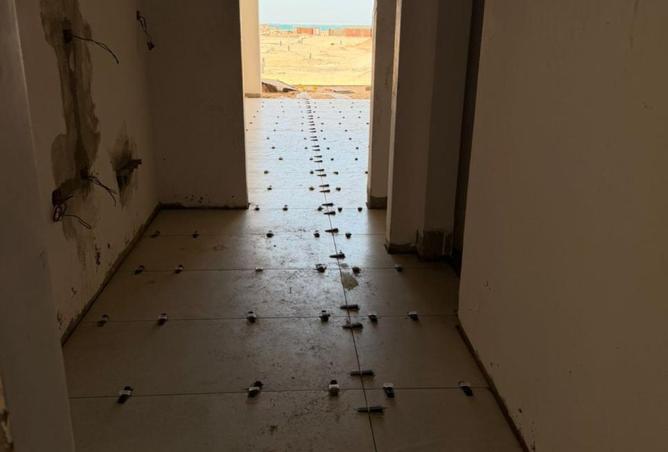 105163636 - صورة العقار 2