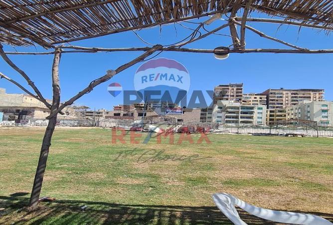 53719632 - صورة العقار 3