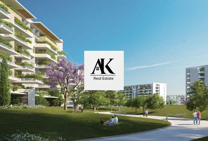 8433019 - صورة العقار 2