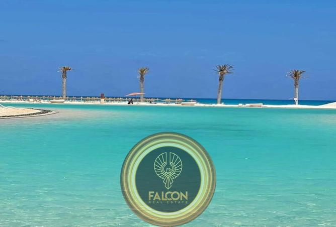 93239196 - صورة العقار 3