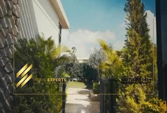 58249531 - Property Image 3