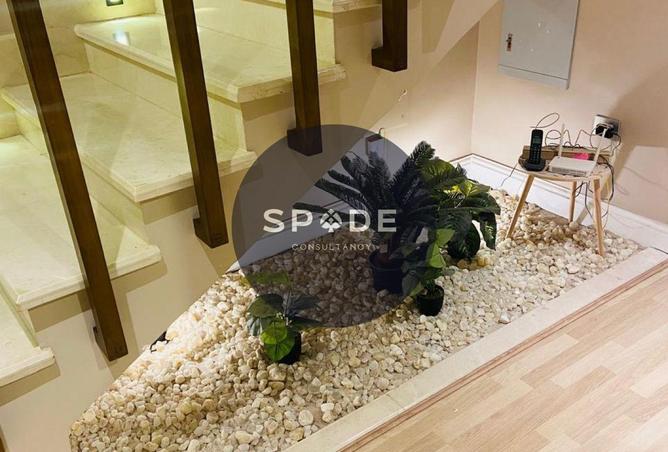 62402925 - Property Image 3