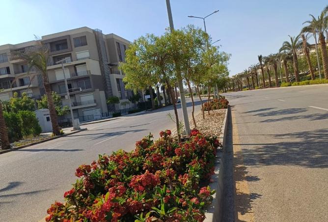 62644233 - Property Image 3