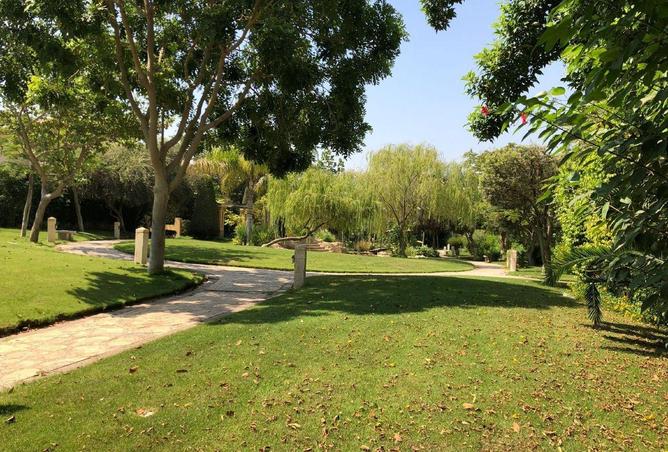 61924813 - صورة العقار 2