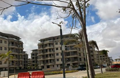 Apartment - 1 Bedroom - 2 Bathrooms for sale in Badya Palm Hills - 6 October Compounds - 6 October City - Giza