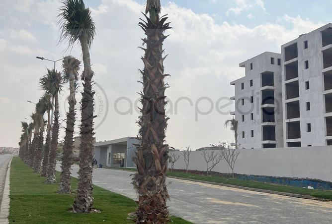 75403735 - Property Main Image