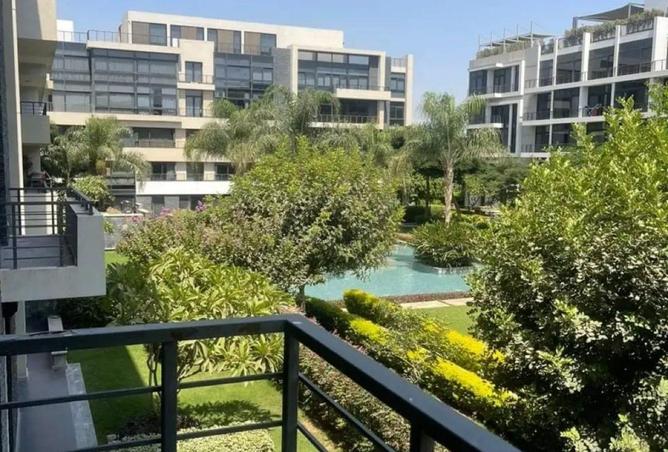 56006610 - Property Image 3