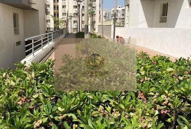 8716579 - Property Image 3