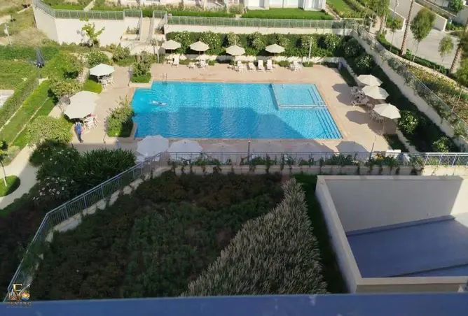 101495621 - Property Image 3