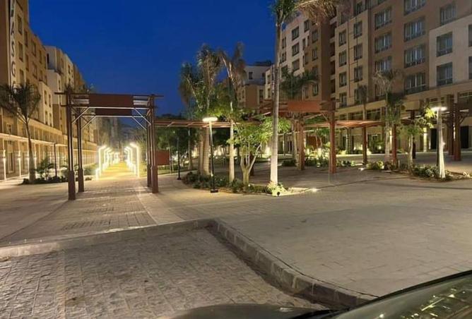 57244852 - Property Image 3