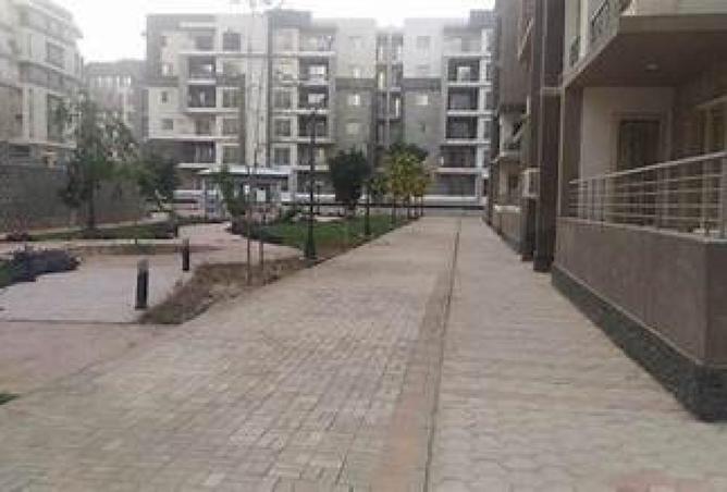 55006376 - Property Image 3