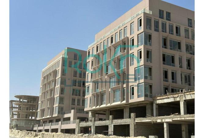 8405581 - Property Image 3