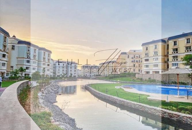81565136 - Property Image 3