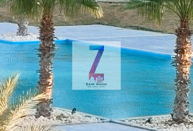 66175752 - صورة العقار 3