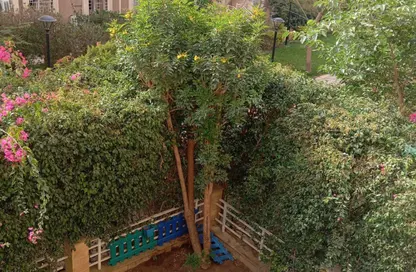 Apartment - 2 Bedrooms - 2 Bathrooms for rent in B7 - Madinaty - Cairo