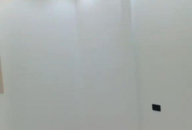 88120588 - صورة العقار 3