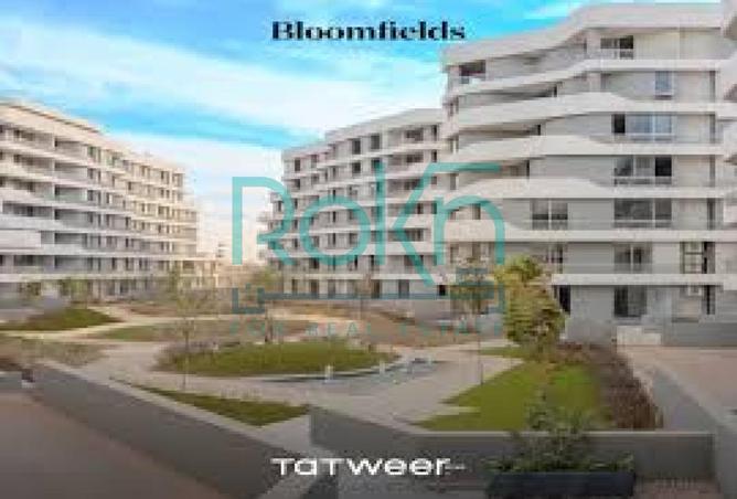 80262860 - Property Image 3
