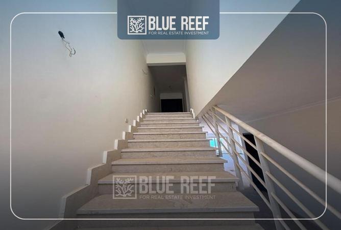 69835923 - صورة العقار 3