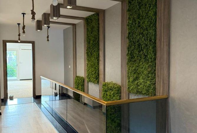 63385253 - الصورة الرئيسية للعقار