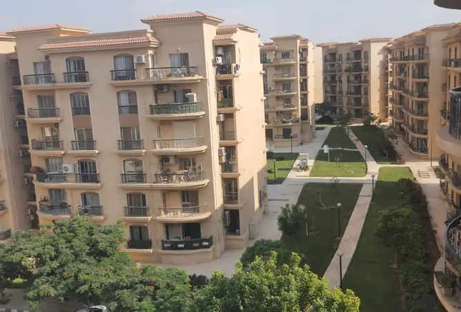 113818274 - Property Image 3