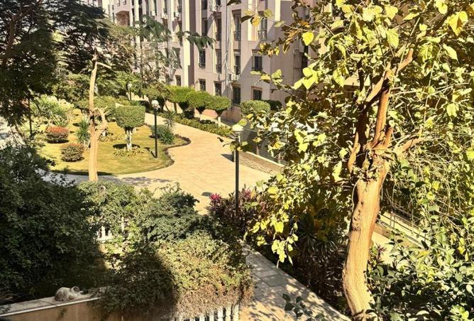 64142339 - Property Image 3