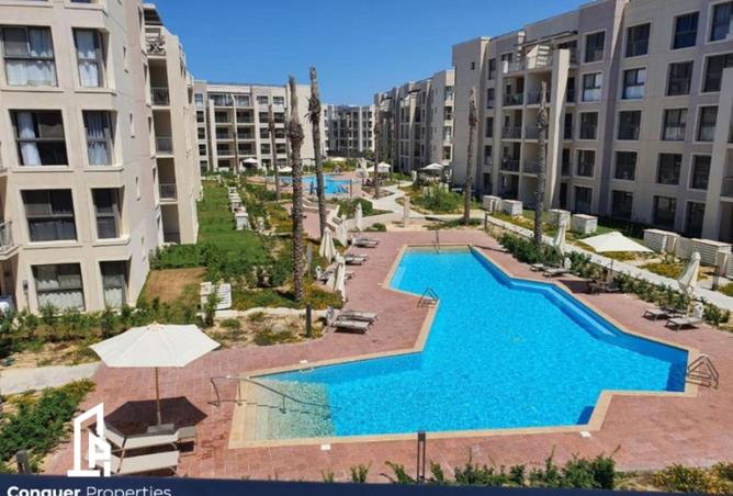 8458335 - Property Image 3