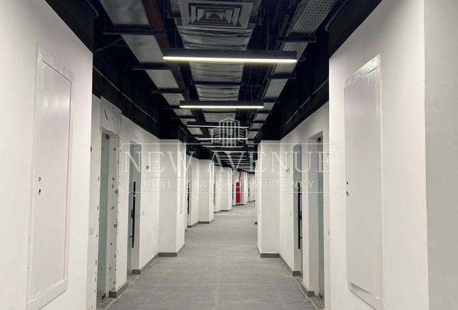74050585 - Property Image 3