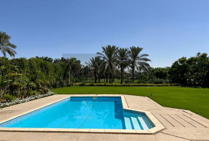 81316926 - الصورة الرئيسية للعقار