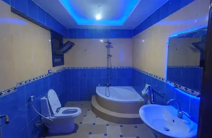 Apartment - 3 Bedrooms - 1 Bathroom for sale in Al Souk Al Togary St. - Al Nadi Al Ahly - Nasr City - Cairo