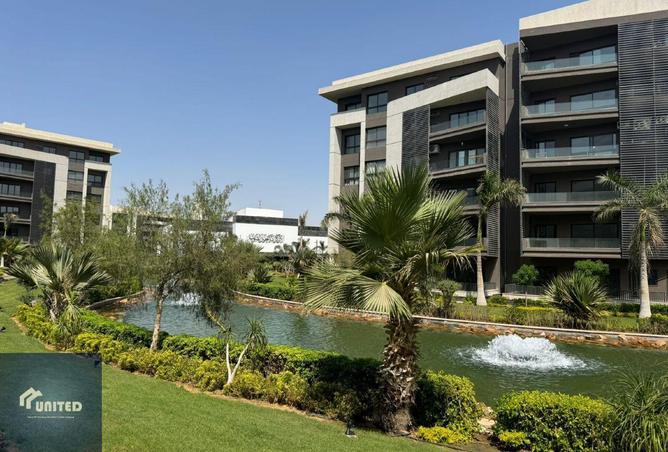 55247583 - صورة العقار 2