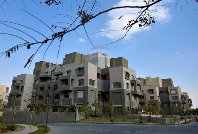 66957465 - Property Image 3