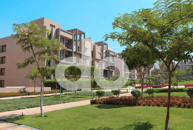 118799671 - Property Image 2