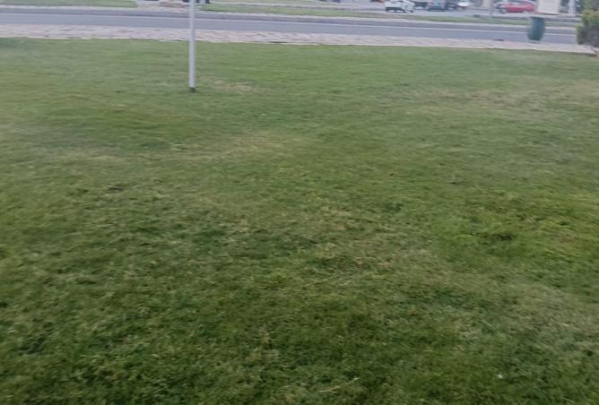 77059897 - صورة العقار 2
