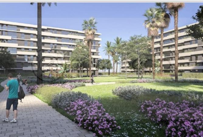 64384824 - Property Image 3