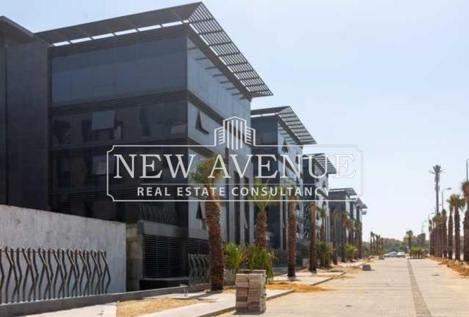 67728383 - Property Image 3