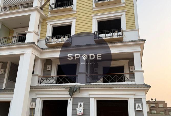 61684548 - Property Image 3