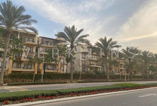 8690272 - Property Image 3